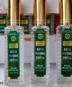 Dầu Bạc Hà BÁCH HƯƠNG (1)