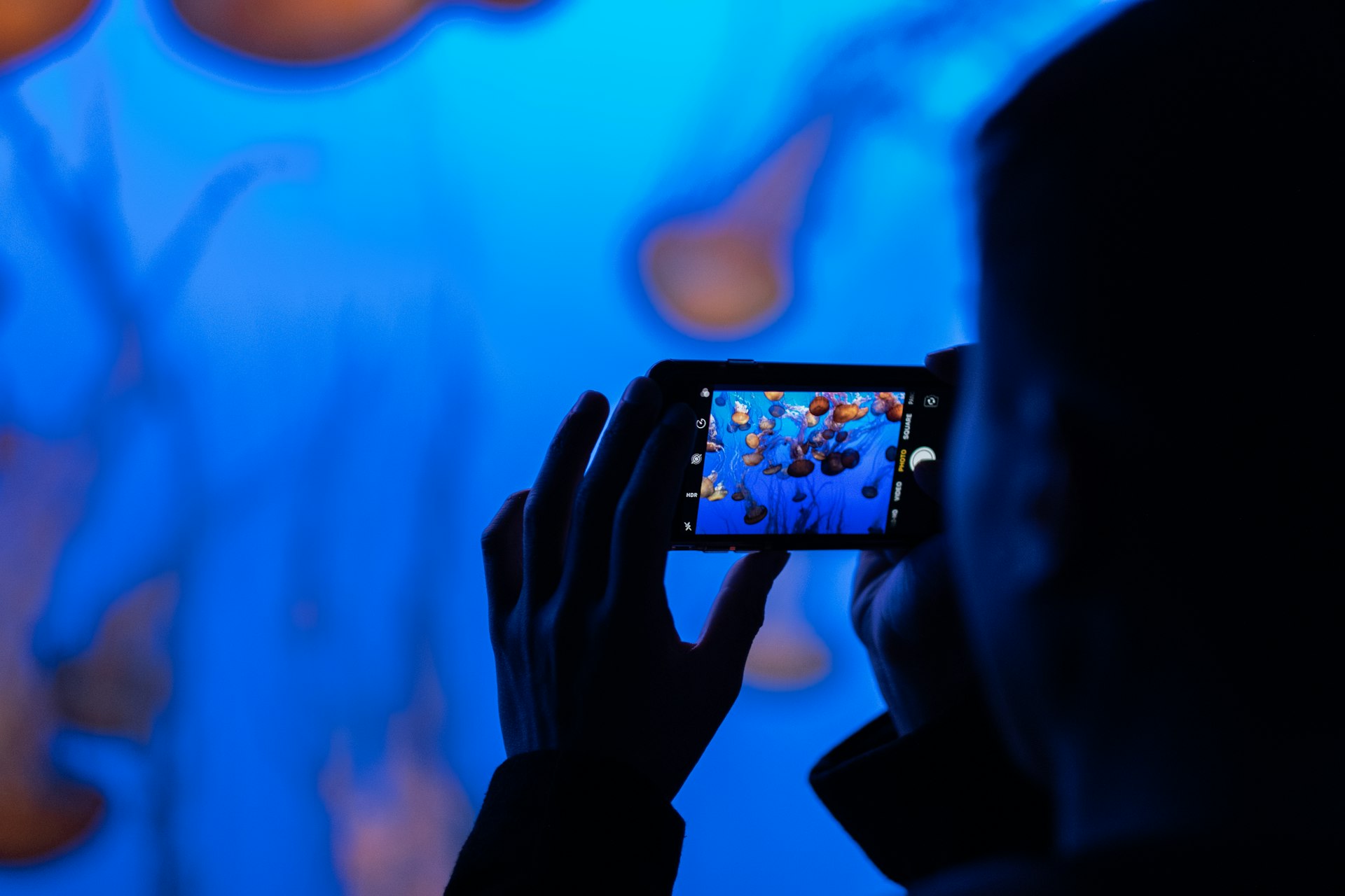 How Micro-Documentaries Are Transforming Social Media Storytelling in 2025