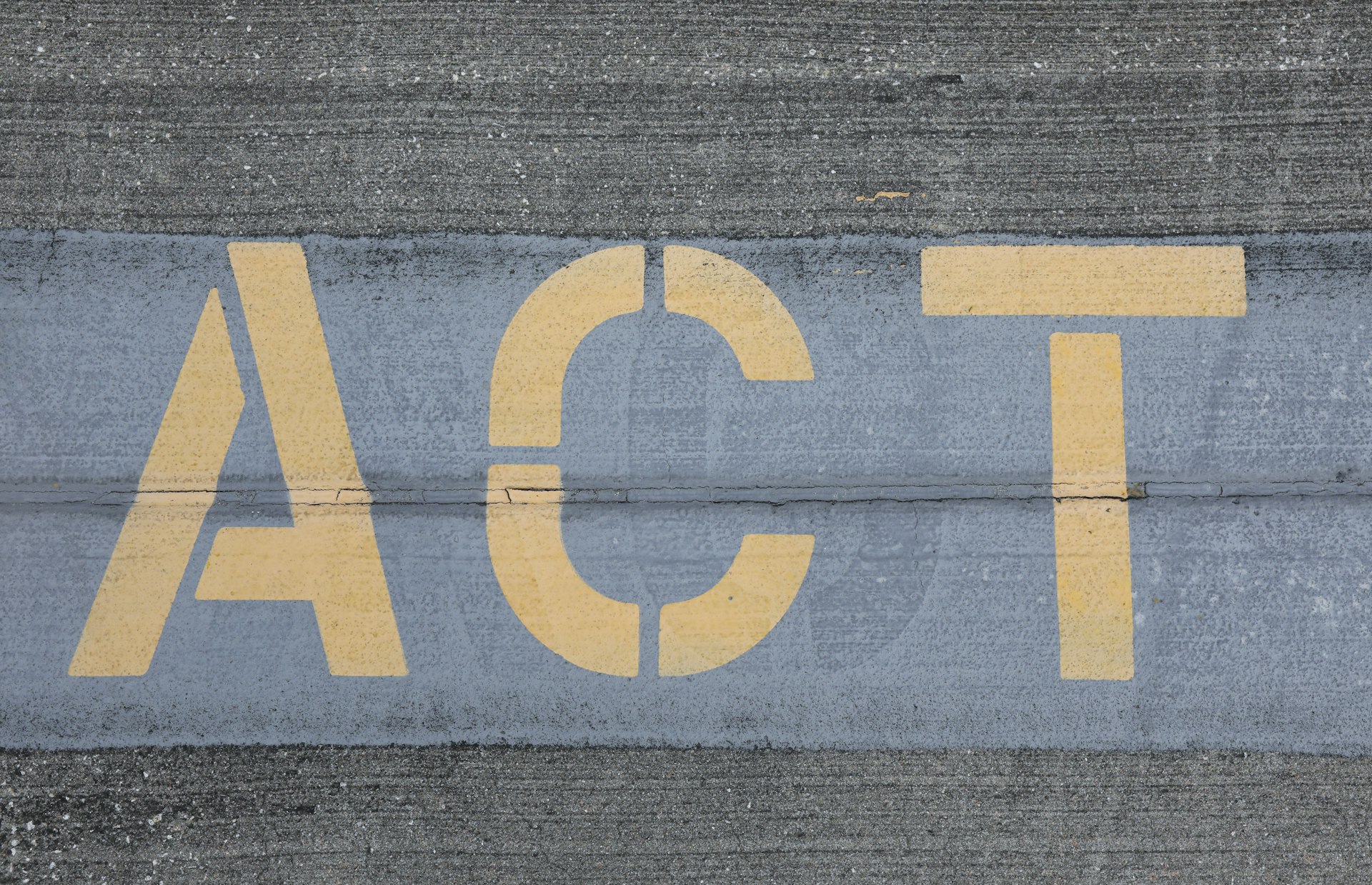 How Cause-Related Marketing Drives Social Impact and Business Growth